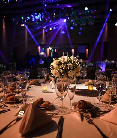 Les Discothèques  & les Nuits Festives 